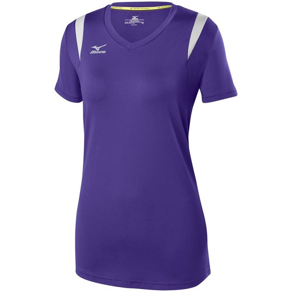 Camisas Mizuno Voleibol Balboa 5.0 Long Sleeve - Mulher - Roxo/Prateadas - OXEKS9350